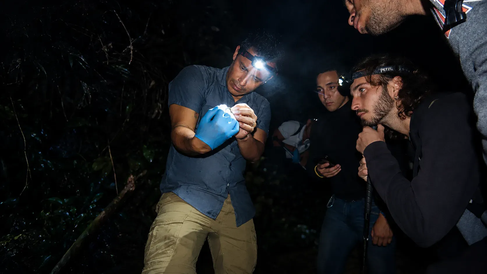 Abel Batista de noche en el bosque, con linterna frontal, buscando anfibios