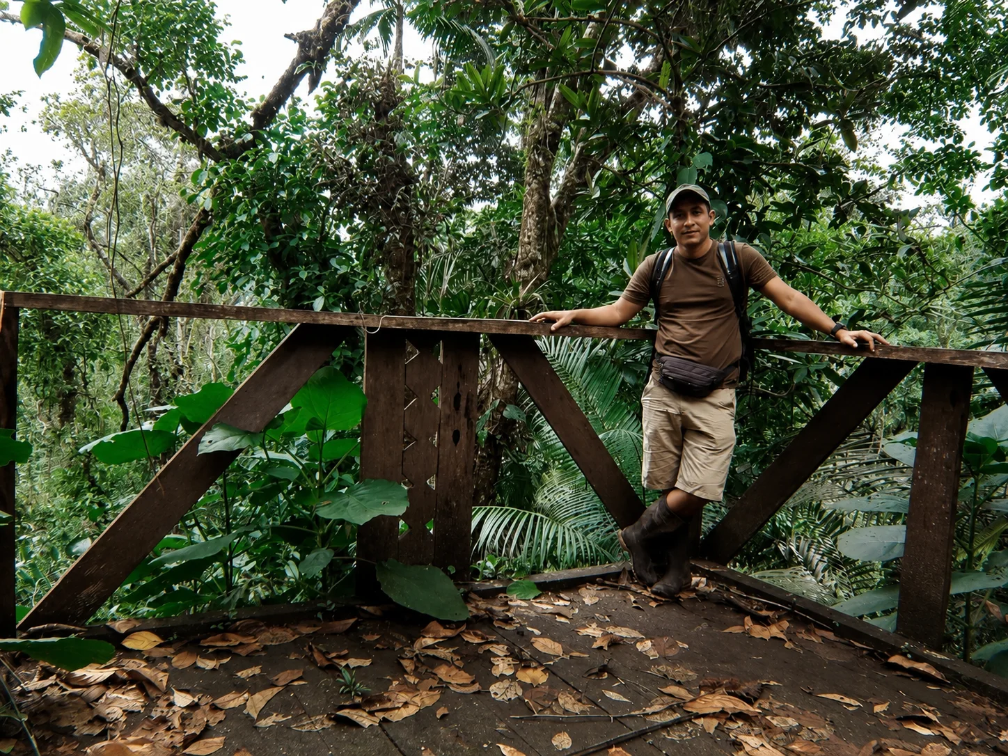 Vista de la selva en una expedición guiada