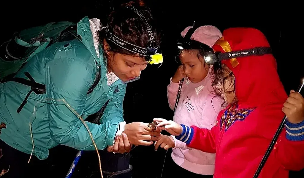 Niños en una salida nocturna de naturaleza