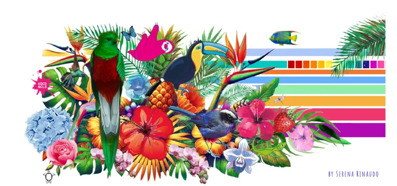 Ilustración de Serena Rinaudo: un quetzal, un tucán, un perezoso rosado y un colibrí entre hibiscos, orquídeas, piña y hojas de palma, junto a franjas de colores